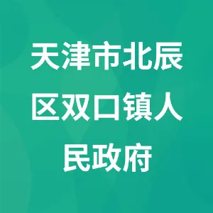 天津市北辰区双口镇人民政府