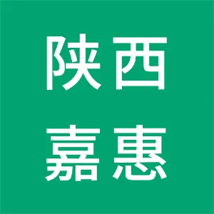 陕西嘉惠新能源科技发展有限公司