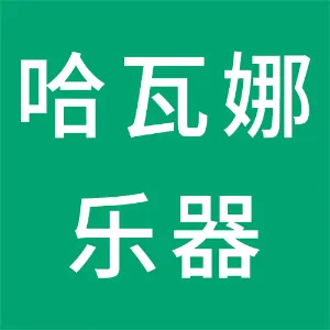 汉中哈瓦娜乐器文化有限公司