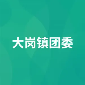 大岗镇团委