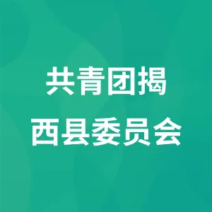共青团揭西县委员会