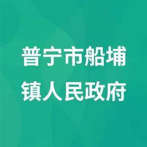 普宁市船埔镇人民政府