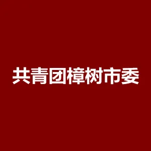 共青团樟树市委