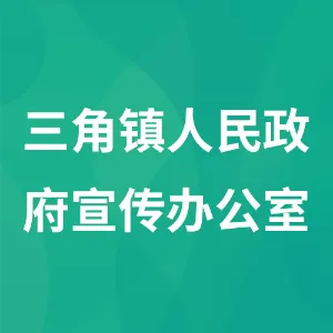 三角镇人民政府宣传办公室