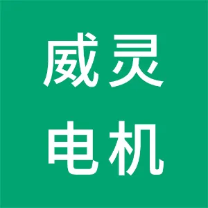 广东威灵电机制造有限公司