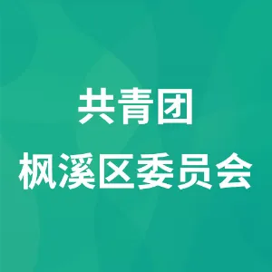 共青团枫溪区委员会