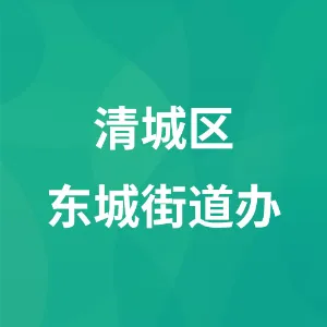 清城区东城街道办