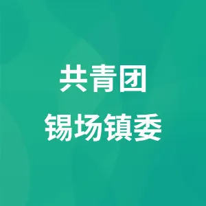 锡场镇团委