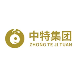 中特集团（海南）有限公司