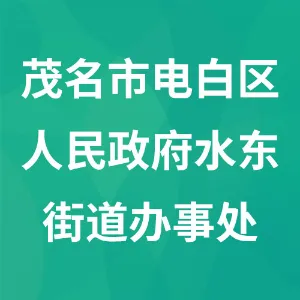 茂名市电白区人民政府水东街道办事处