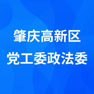 肇庆高新区党工委政法委