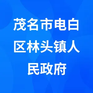 茂名市电白区林头镇人民政府