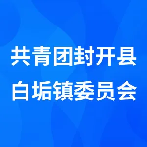 共青团封开县白垢镇委员会