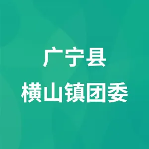 广宁县横山镇团委