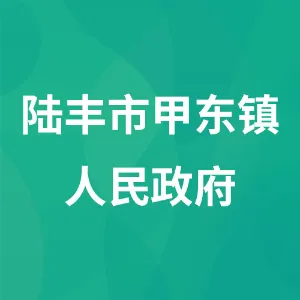 陆丰市甲东镇人民政府