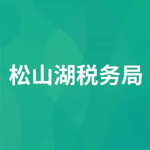 国家税务总局东莞松山湖高新技术产业开发区税务局