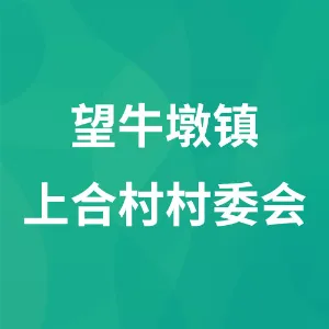 望牛墩镇上合村村委会