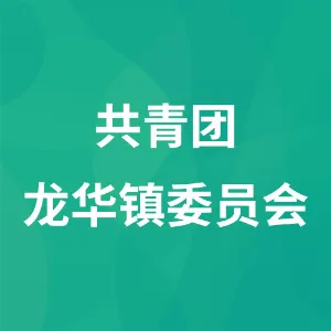 共青团龙华镇委员会
