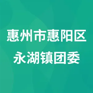 惠州市惠阳区永湖镇团委