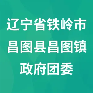 昌图县昌图镇政府团委