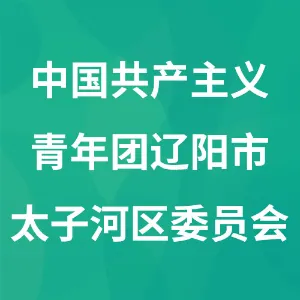 中国共产主义青年团辽阳市太子河区委员会