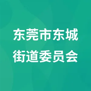 共青团东莞市东城街道工作委员会