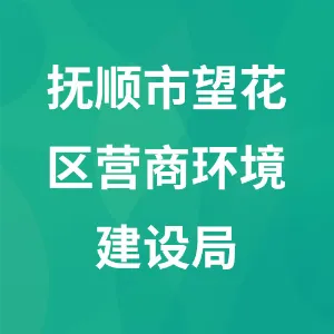 抚顺市望花区营商环境建设局