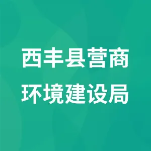 西丰县营商环境建设局