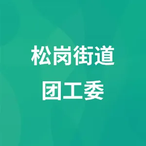 共青团深圳市宝安区松岗街道工作委员会