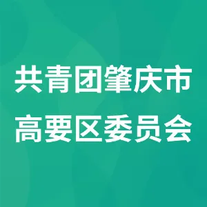 共青团肇庆市高要区委员会