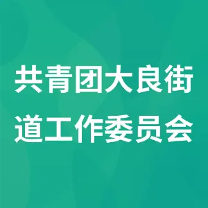 共青团大良街道工作委员会