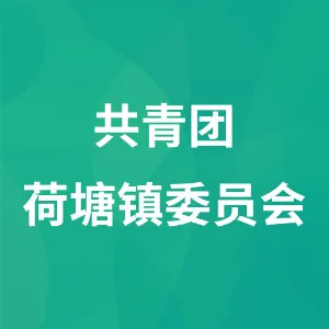 共青团高州市荷塘镇委员会