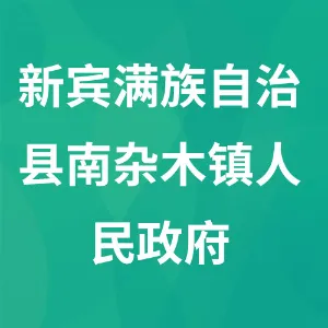 新宾满族自治县南杂木镇人民政府