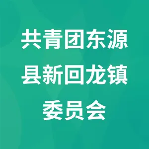 共青团东源县新回龙镇委员会