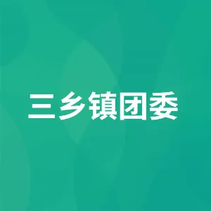 三乡镇团委