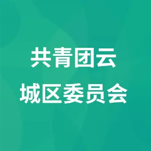 中国共产主义青年团云浮市云城区委员会