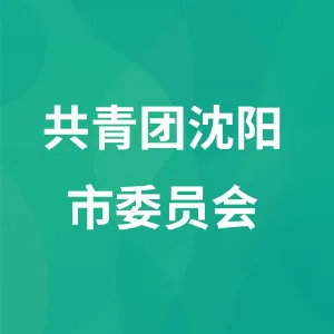 共青团沈阳市委员会