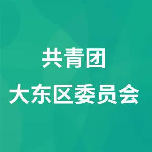 共青团大东区委员会