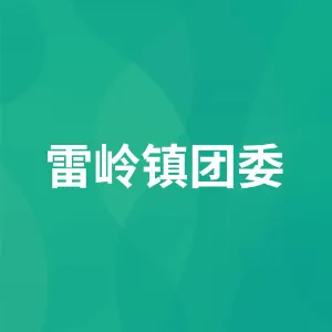 雷岭镇团委