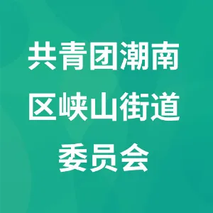共青团潮南区峡山街道委员会