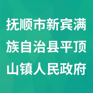 抚顺市新宾满族自治县平顶山镇人民政府
