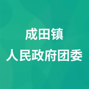 成田镇人民政府团委