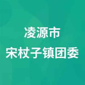 凌源市宋杖子镇团委