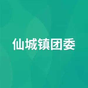 仙城镇团委