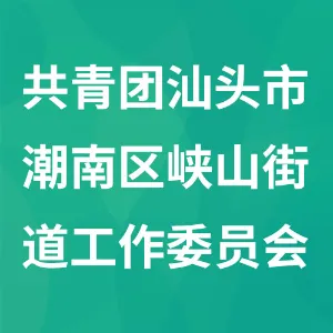 共青团汕头市潮南区峡山街道工作委员会