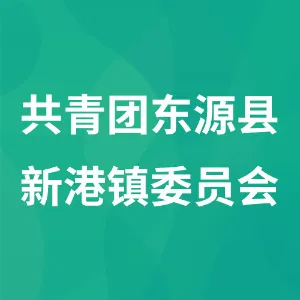 共青团东源县新港镇委员会