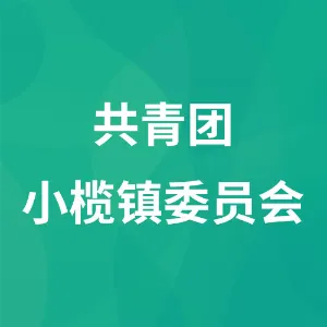 共青团小榄镇委员会