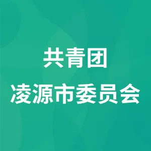 共青团凌源市委员会