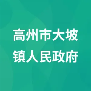 高州市大坡镇人民政府