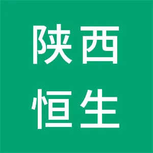 陕西恒生商业连锁集团有限公司